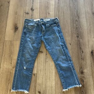 Anthropologie Slim Boyfriend Blue Jeans
